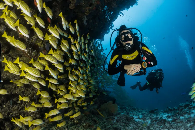A scuba diver exploring a coral reef with schooling fish